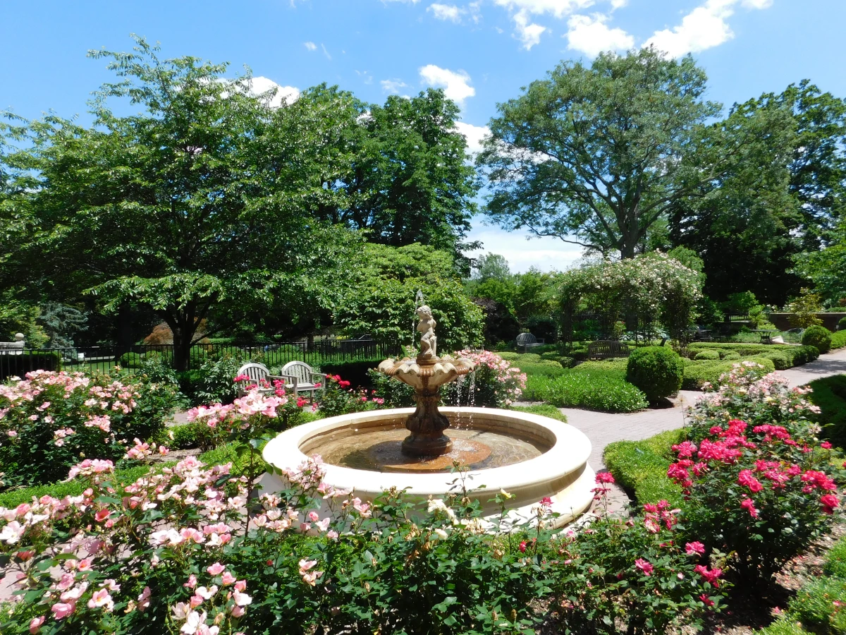 Memory care assessment for dementia or Alzheimer’s Disease